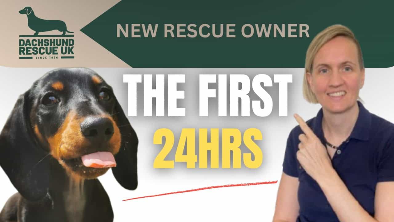 2  The First 24 48 hours