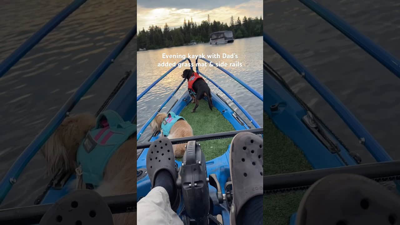Crusoe & Daphne on a custom dog-friendly kayak!